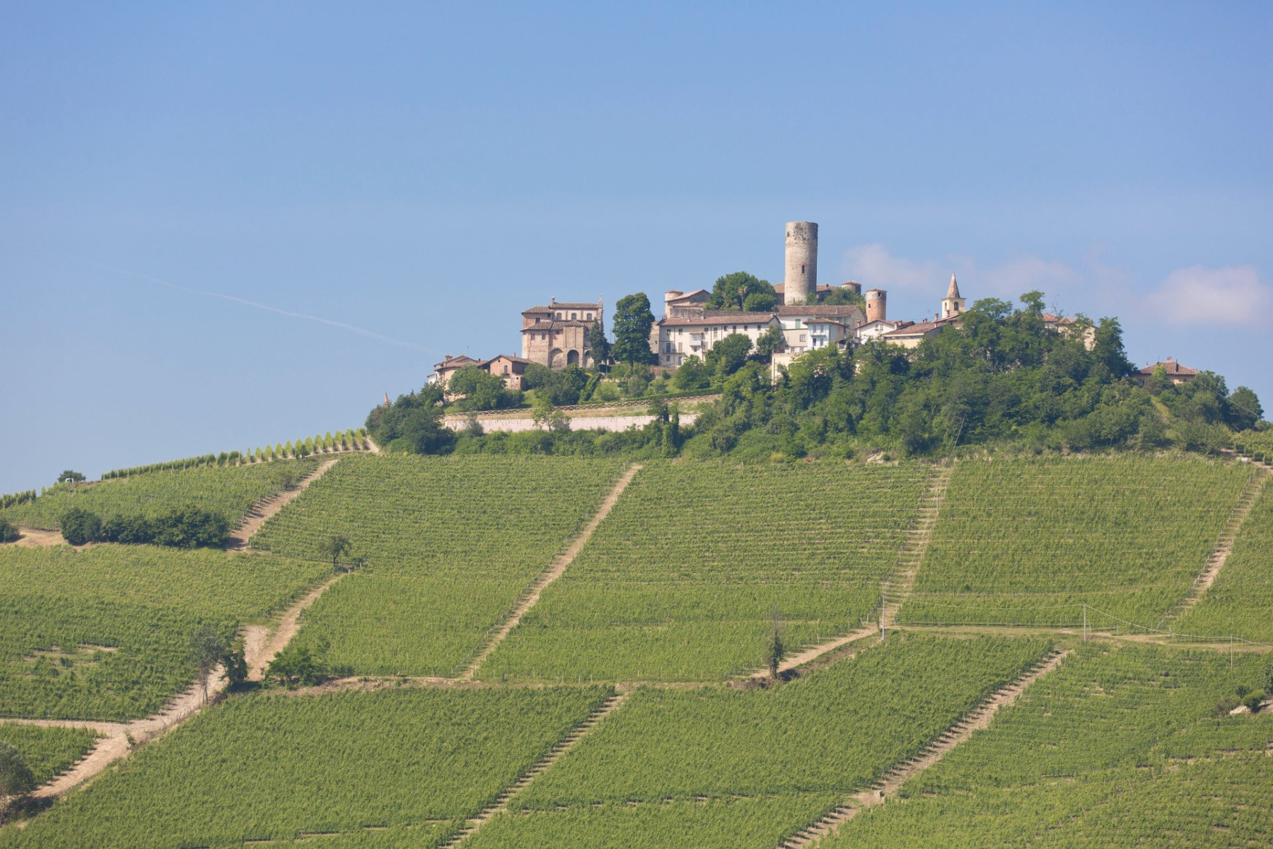 Blick auf Serralunga d alba