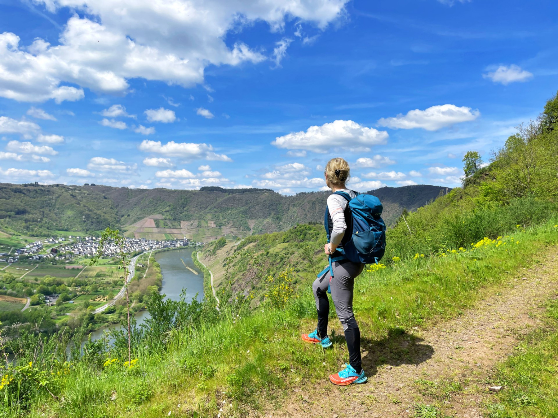 Talblicke auf die Mosel