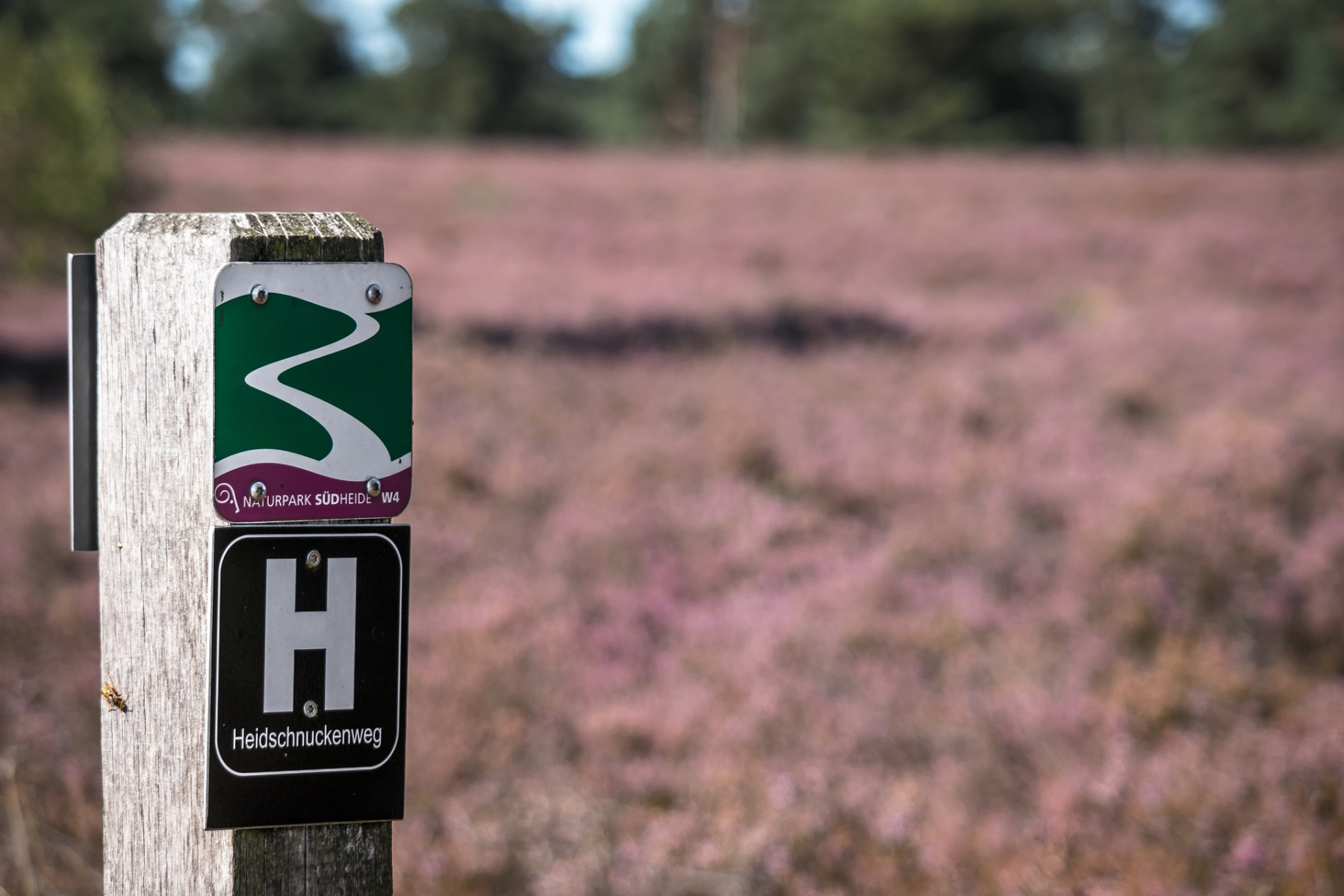 Wanderschilder auf dem Heidschnuckenweg