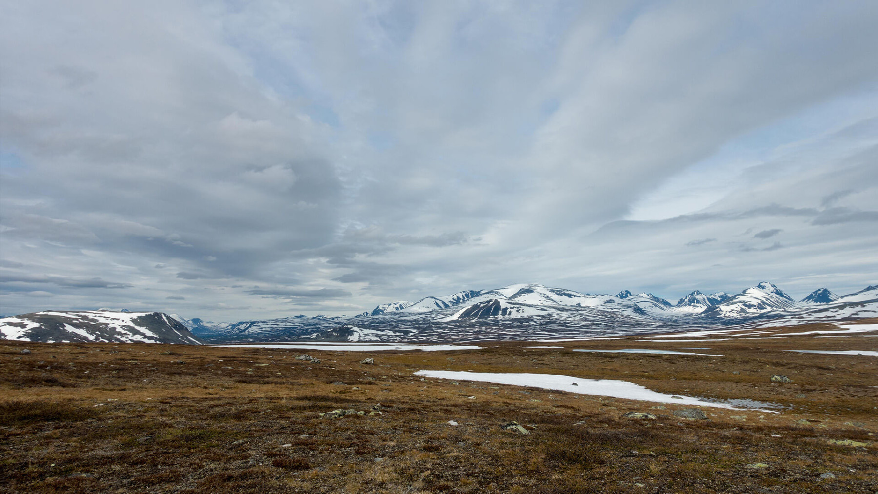 Frühling im Fjäll