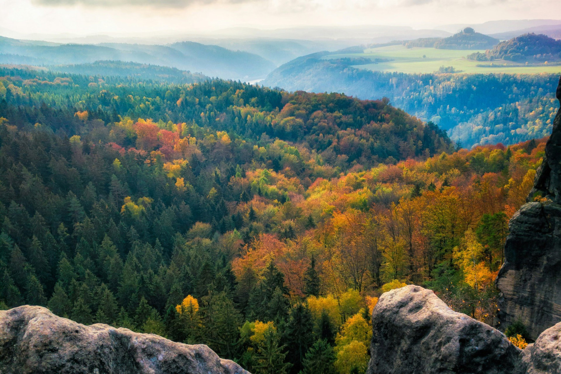 Herbstlicher Wald im Elbsandsteingebirge