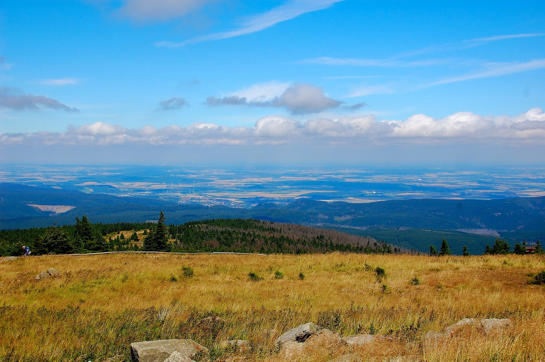 Blick in den Harz