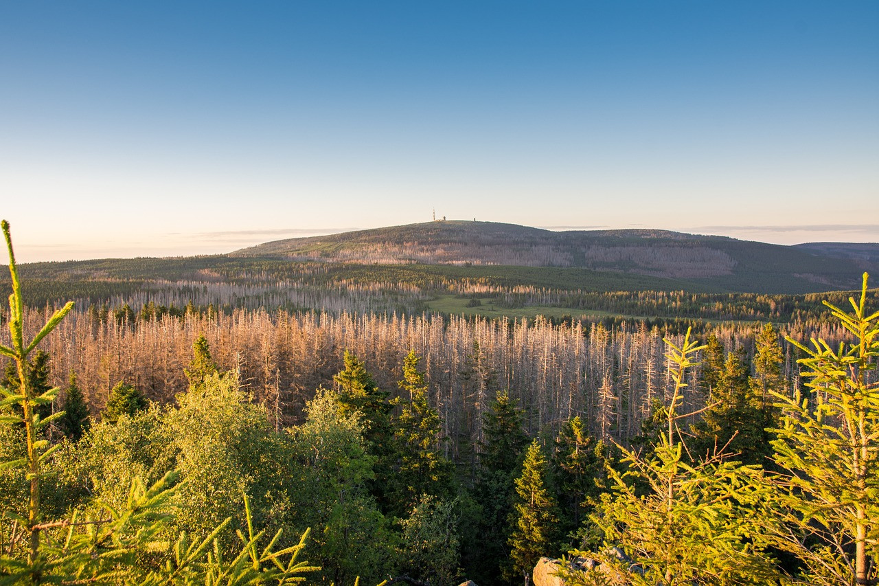 Blick zum Brocken über den Harz