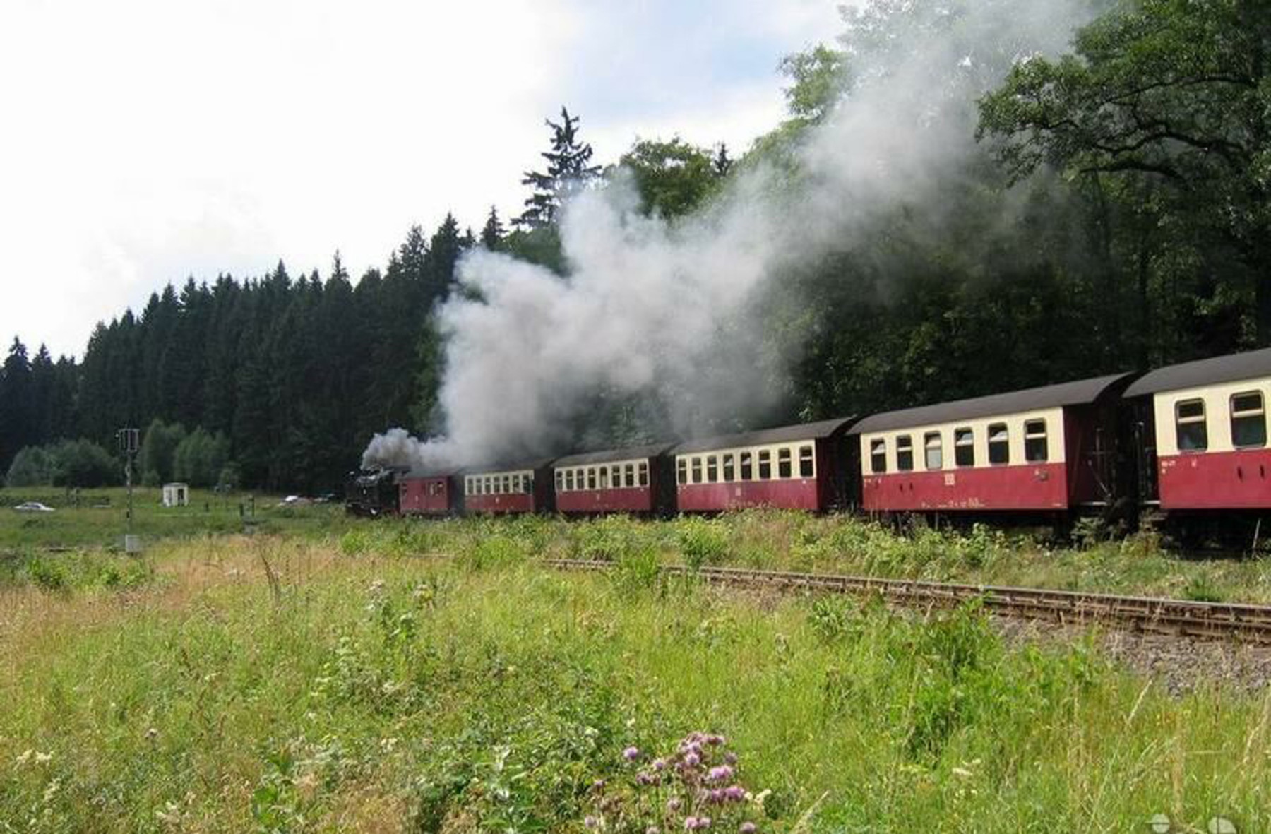 Dampfeisenbahn im Harz