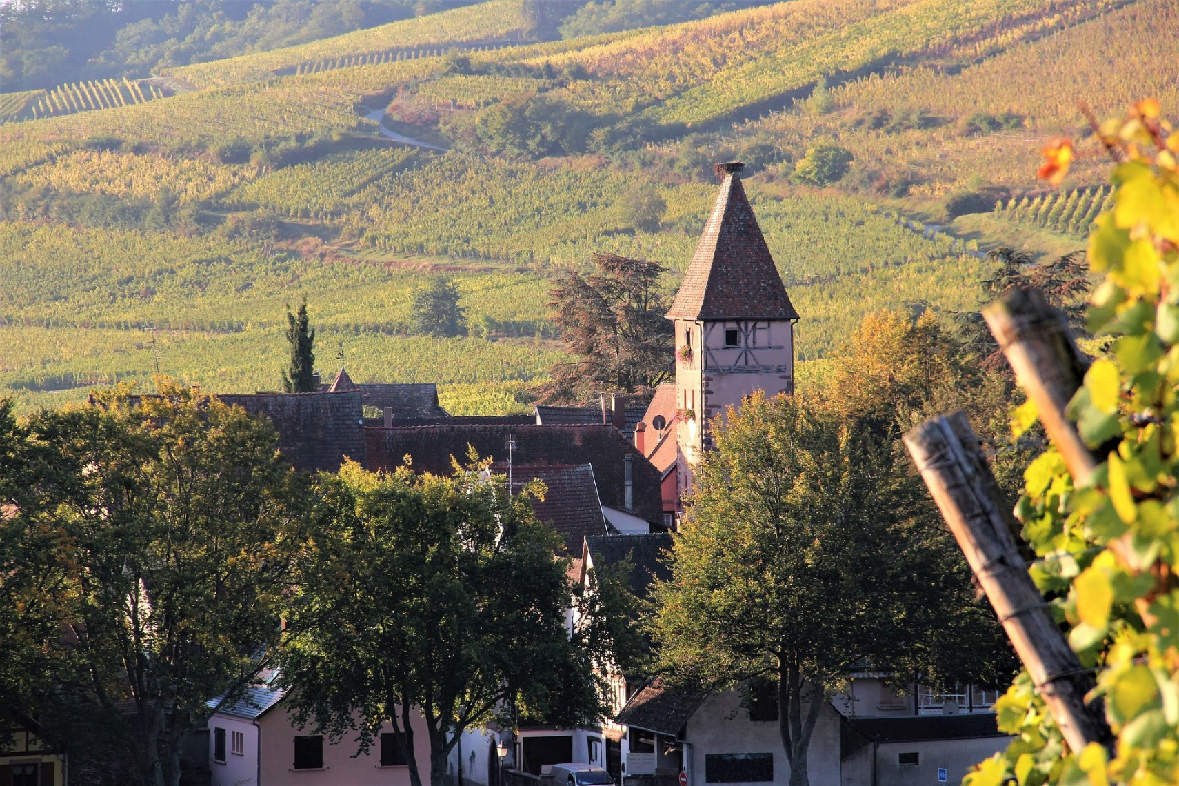 Alte Weinstädte im Elsass