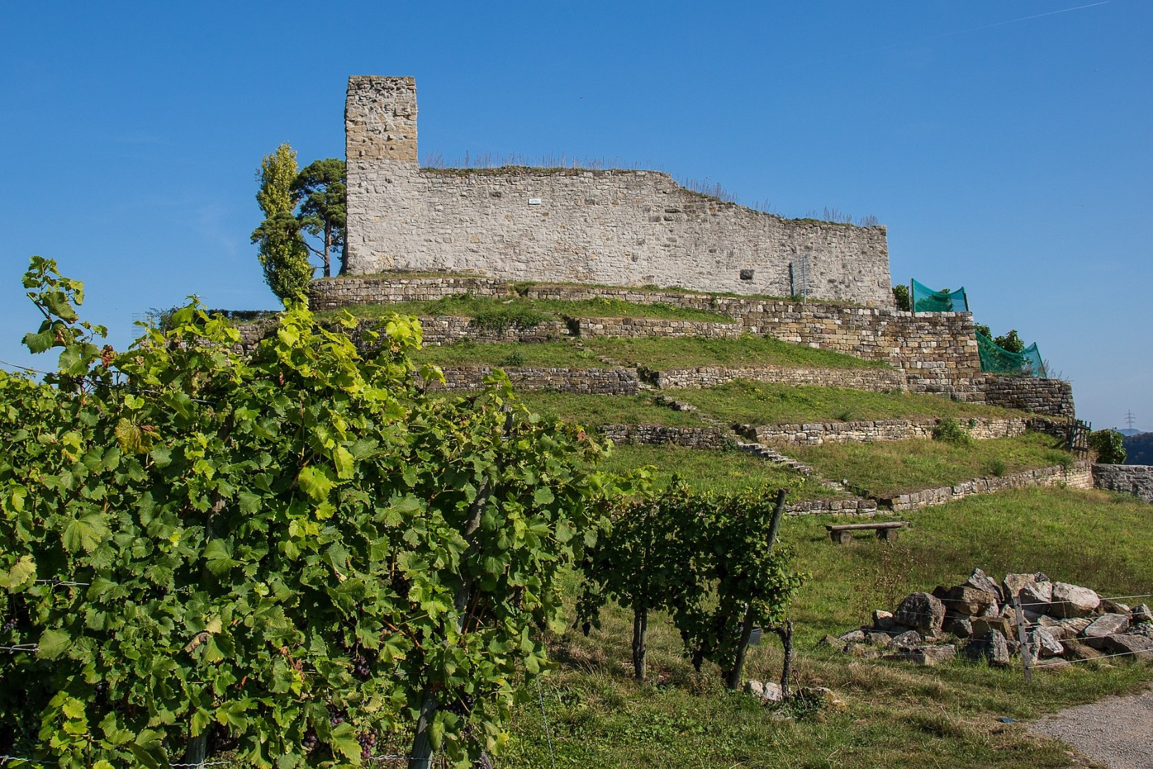 Burg Hoheneck