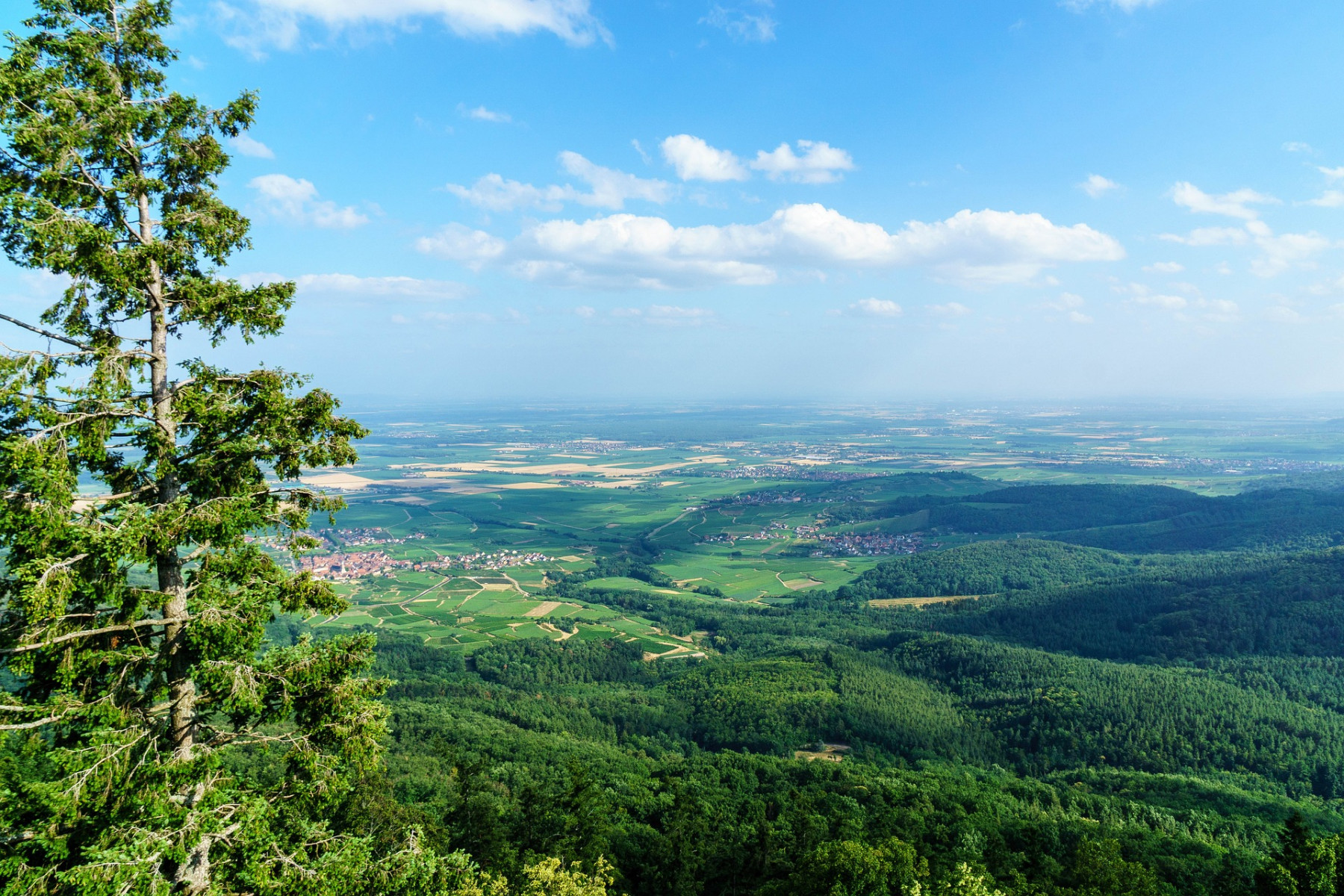 Blick über die Vogesen