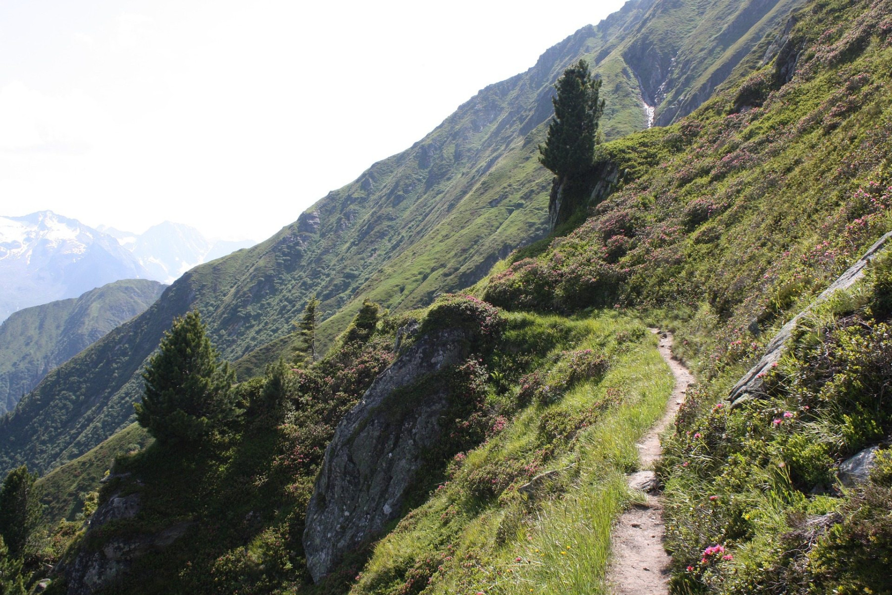 Wanderpfade in den Zillertaler Alpen