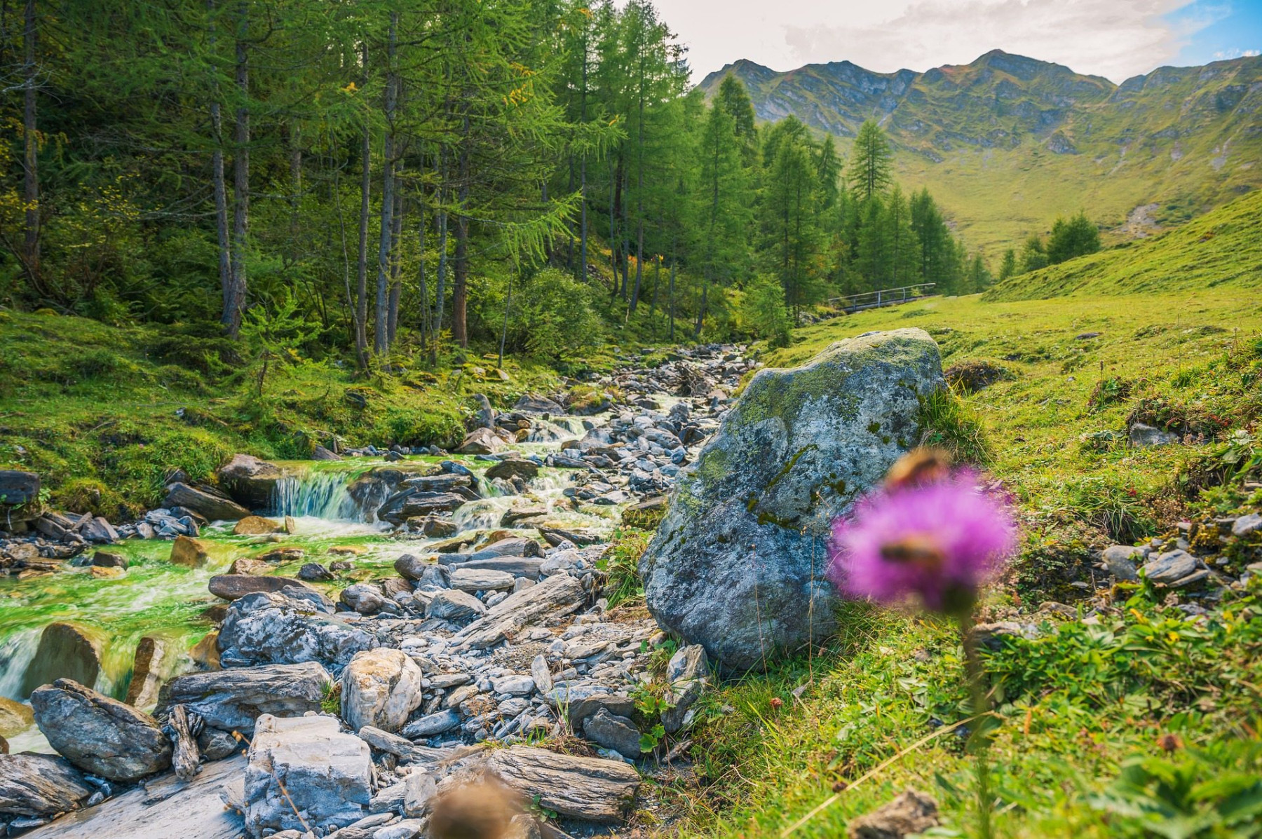 Bachlauf Zillertal