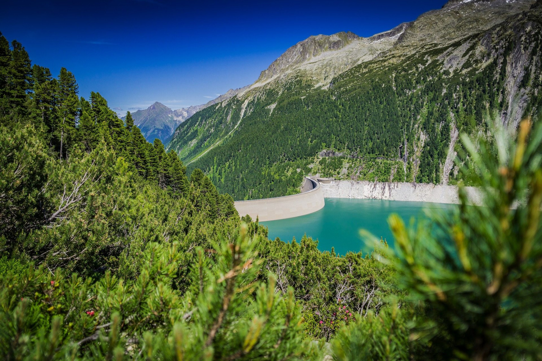 Der Schelgeis Speichersee