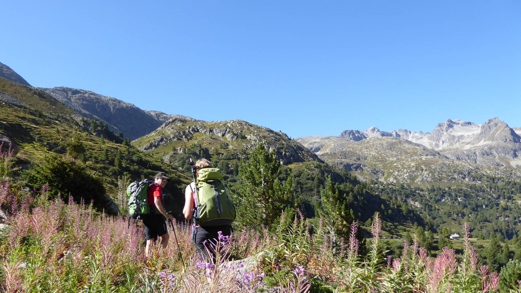 Am Albulapass