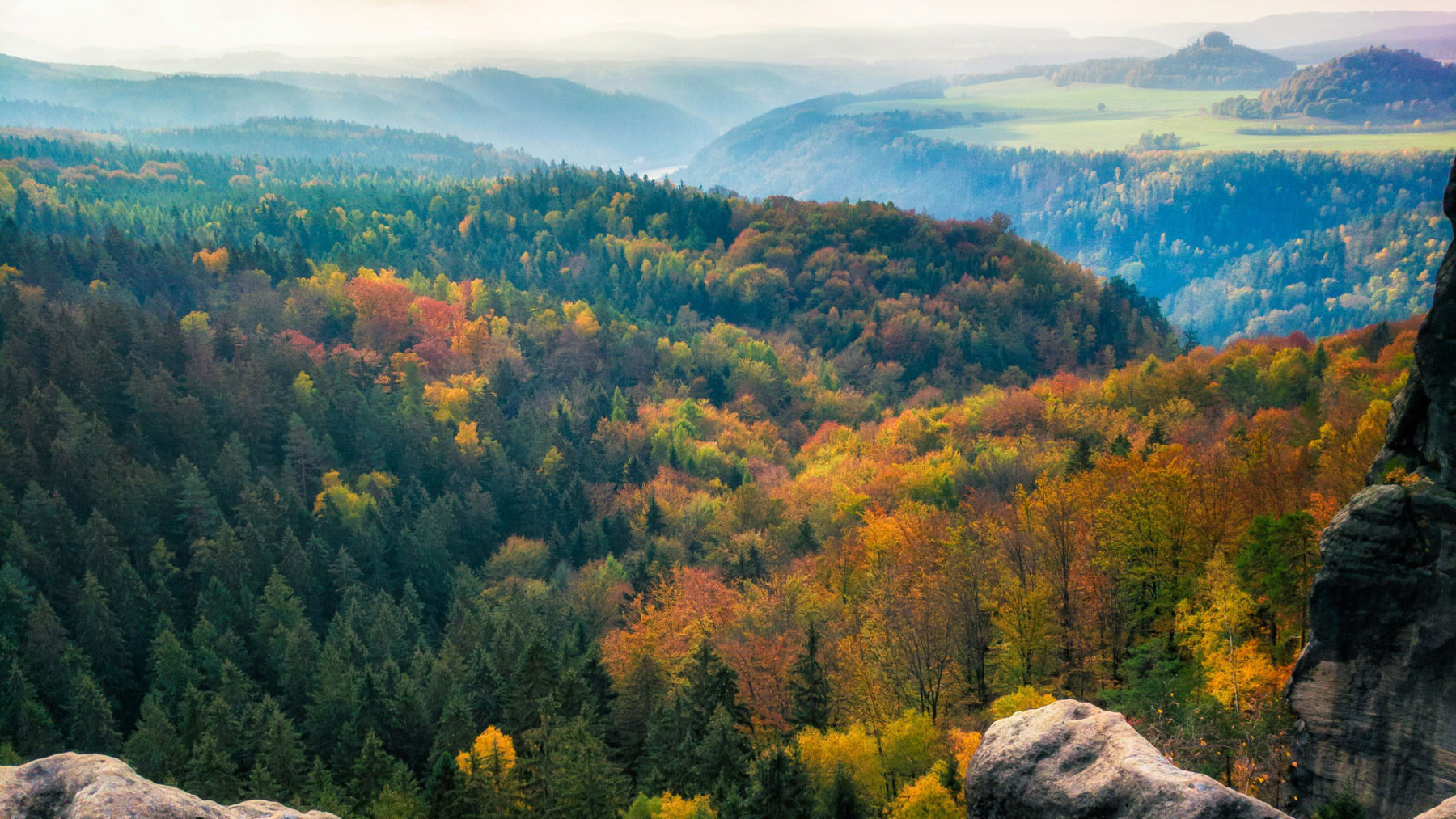 Herbstlicher Wald