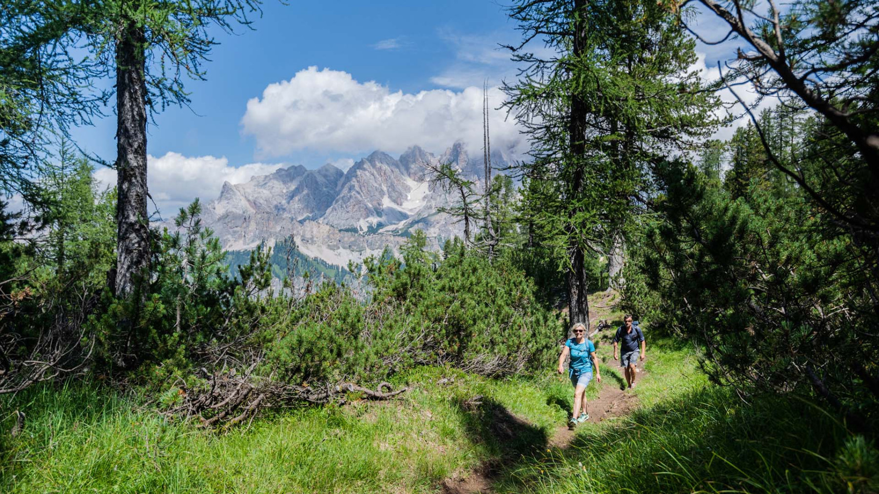 Durch kühle Bergwälder