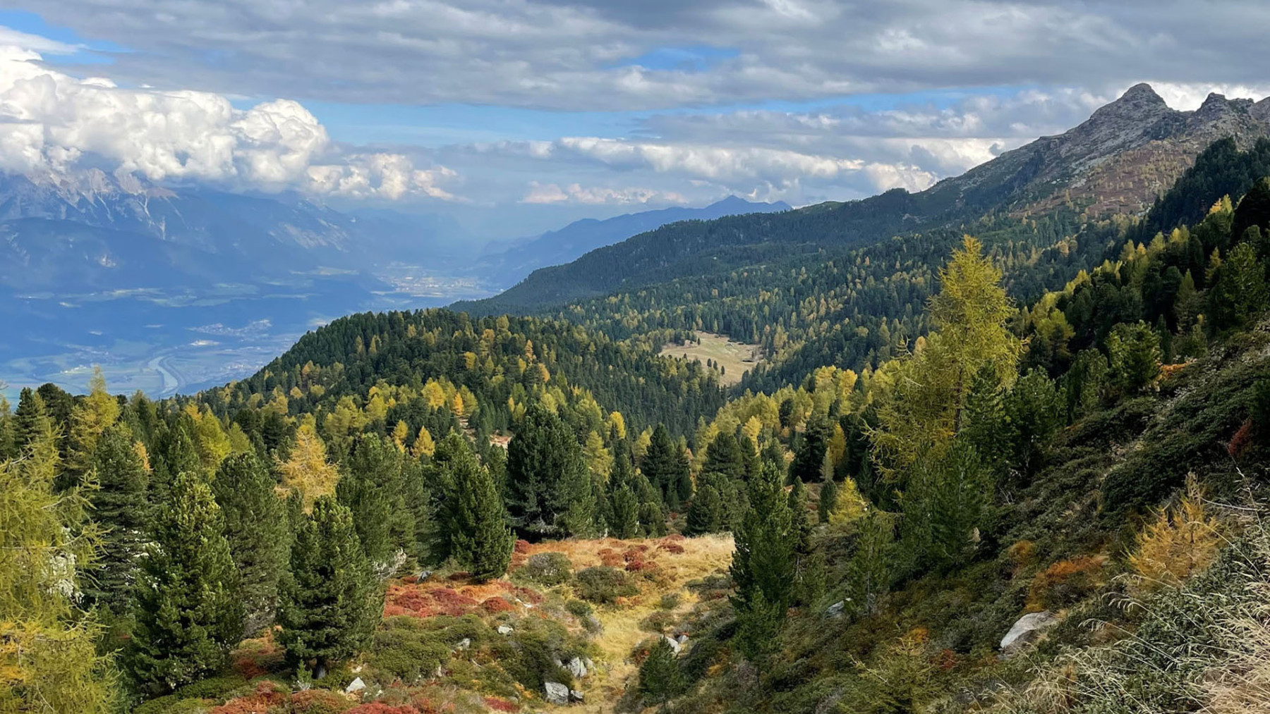 Auf dem Zirbenweg