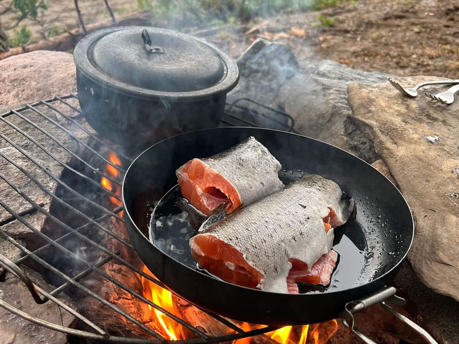 Lachs auf dem Feuer