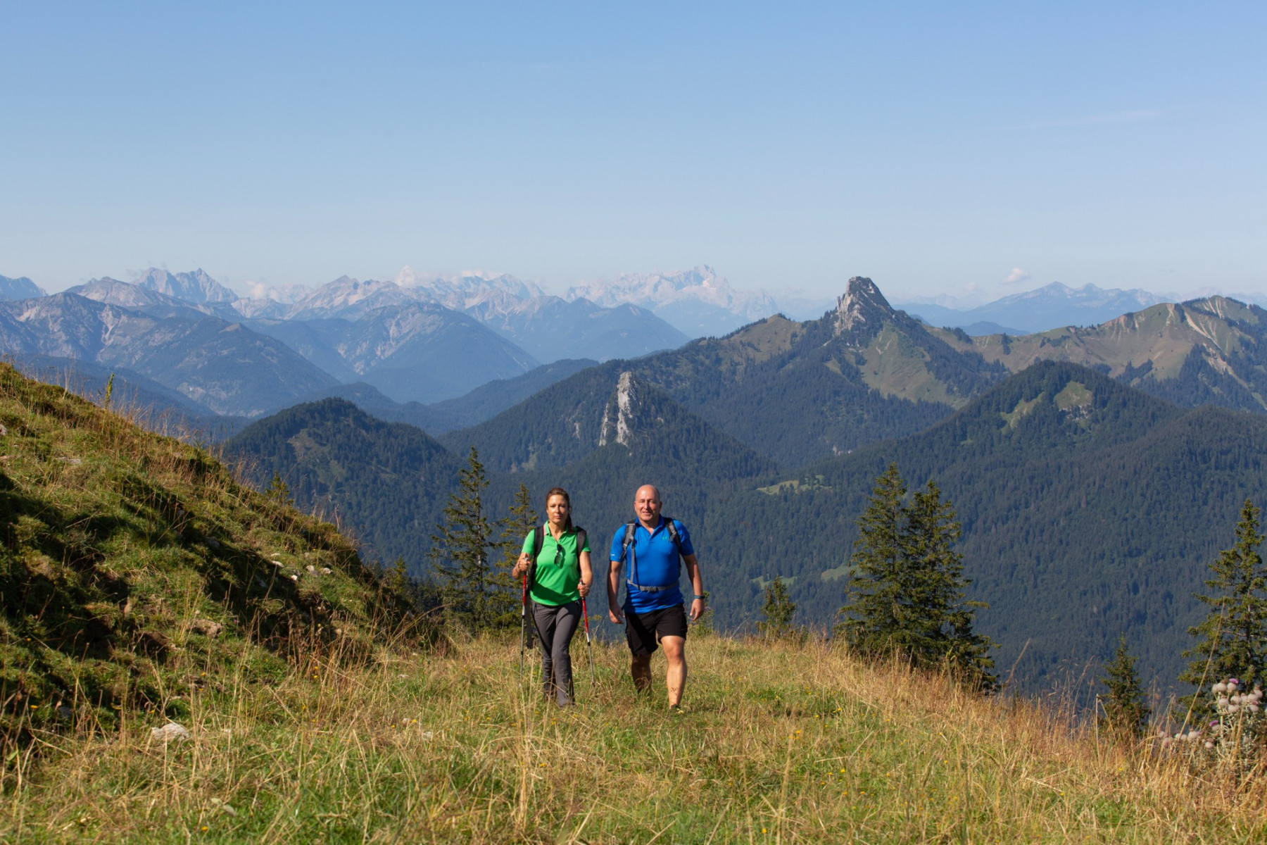 Über sanfte Wiesen wandern