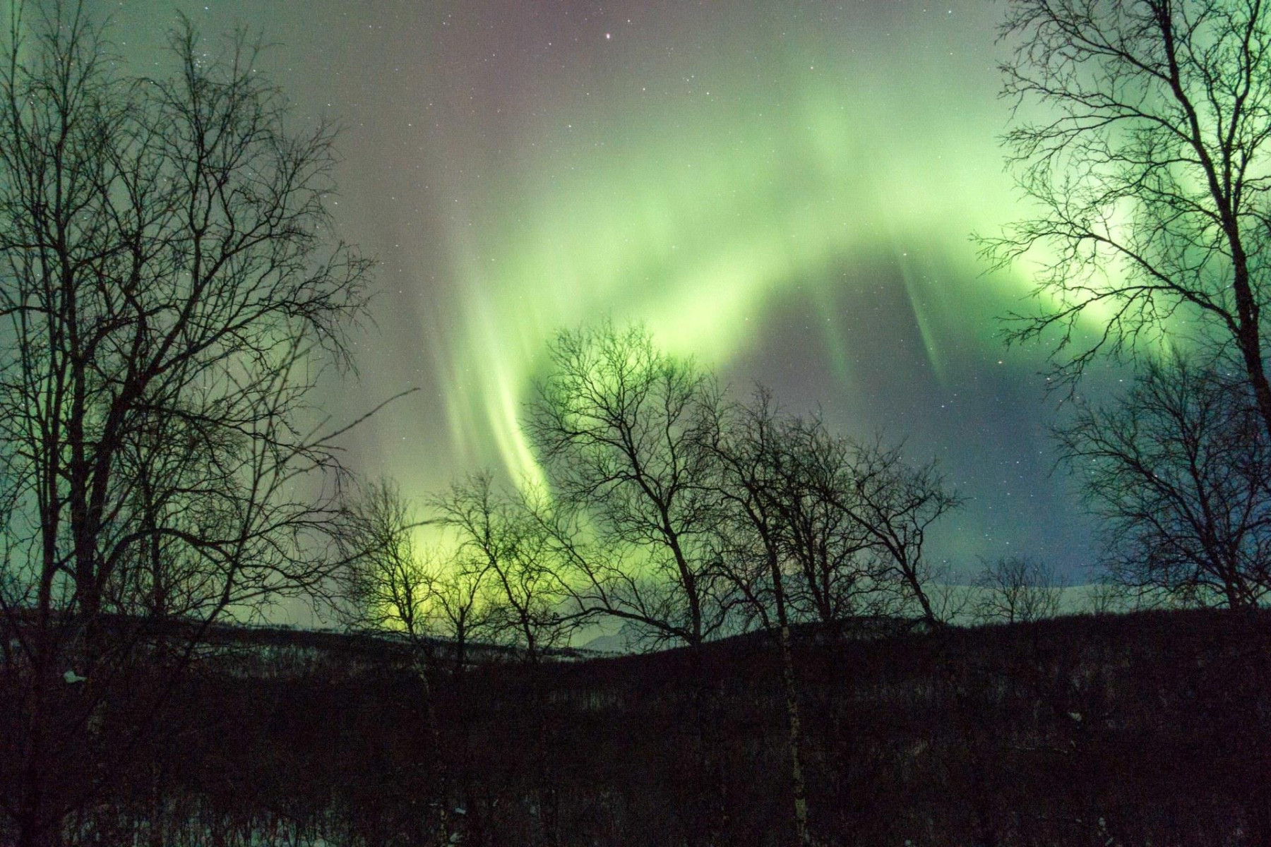 Die Nordlichter