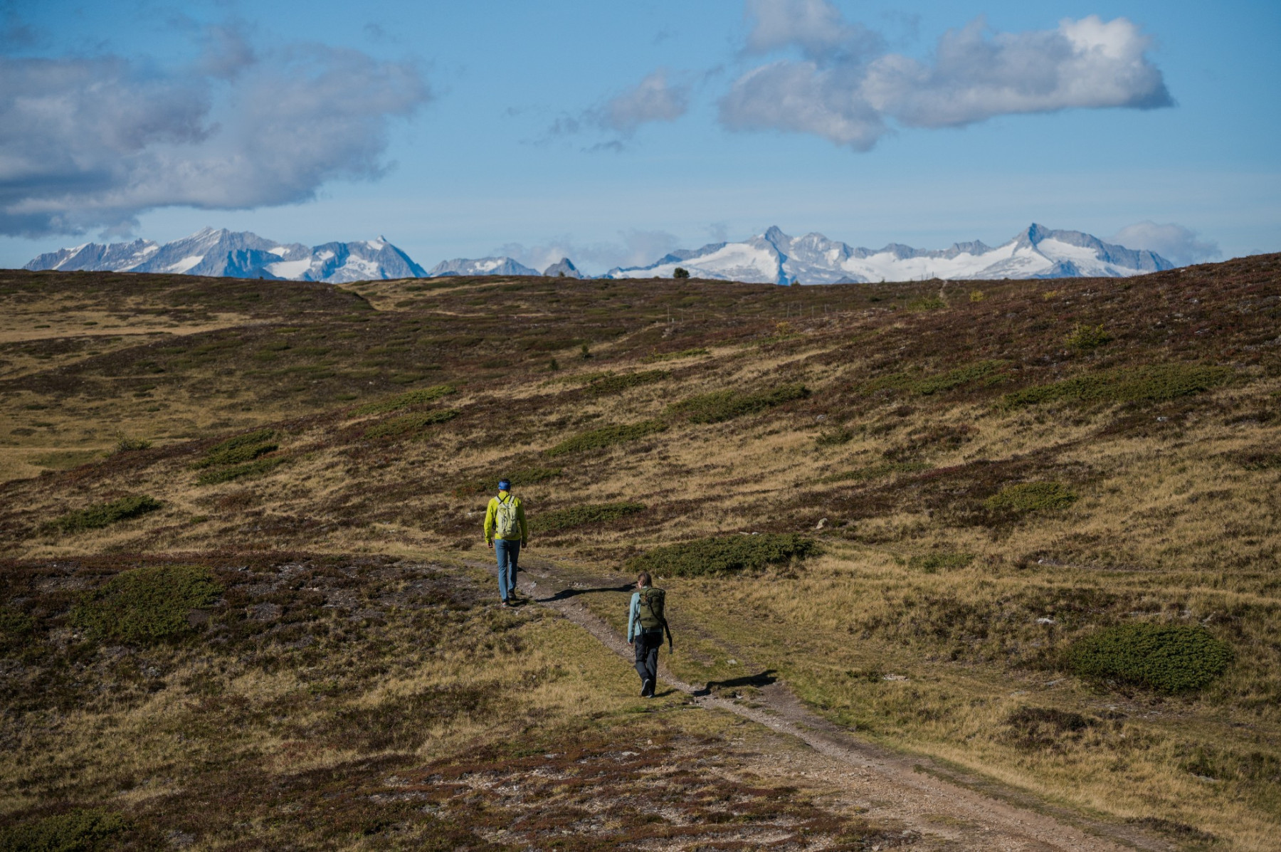 Wandern über Almen