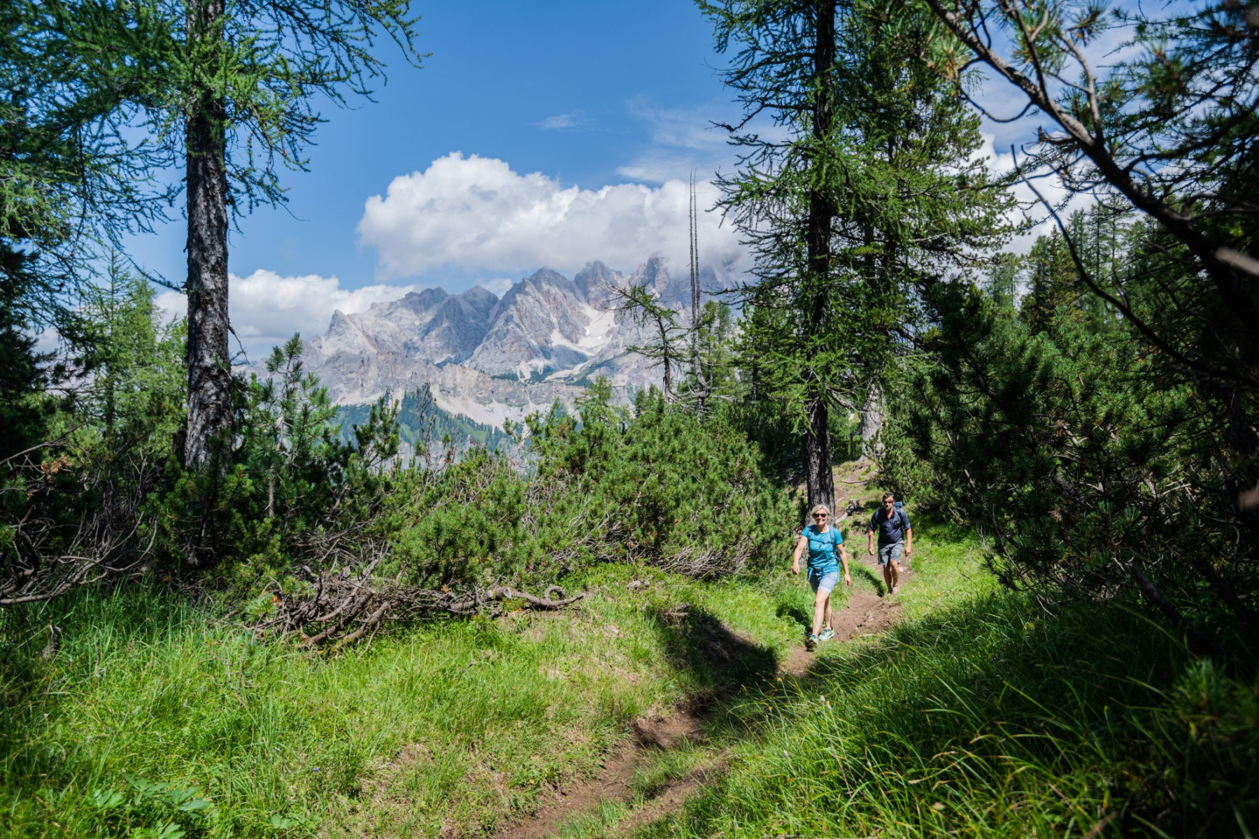 Durch schattige Wälder