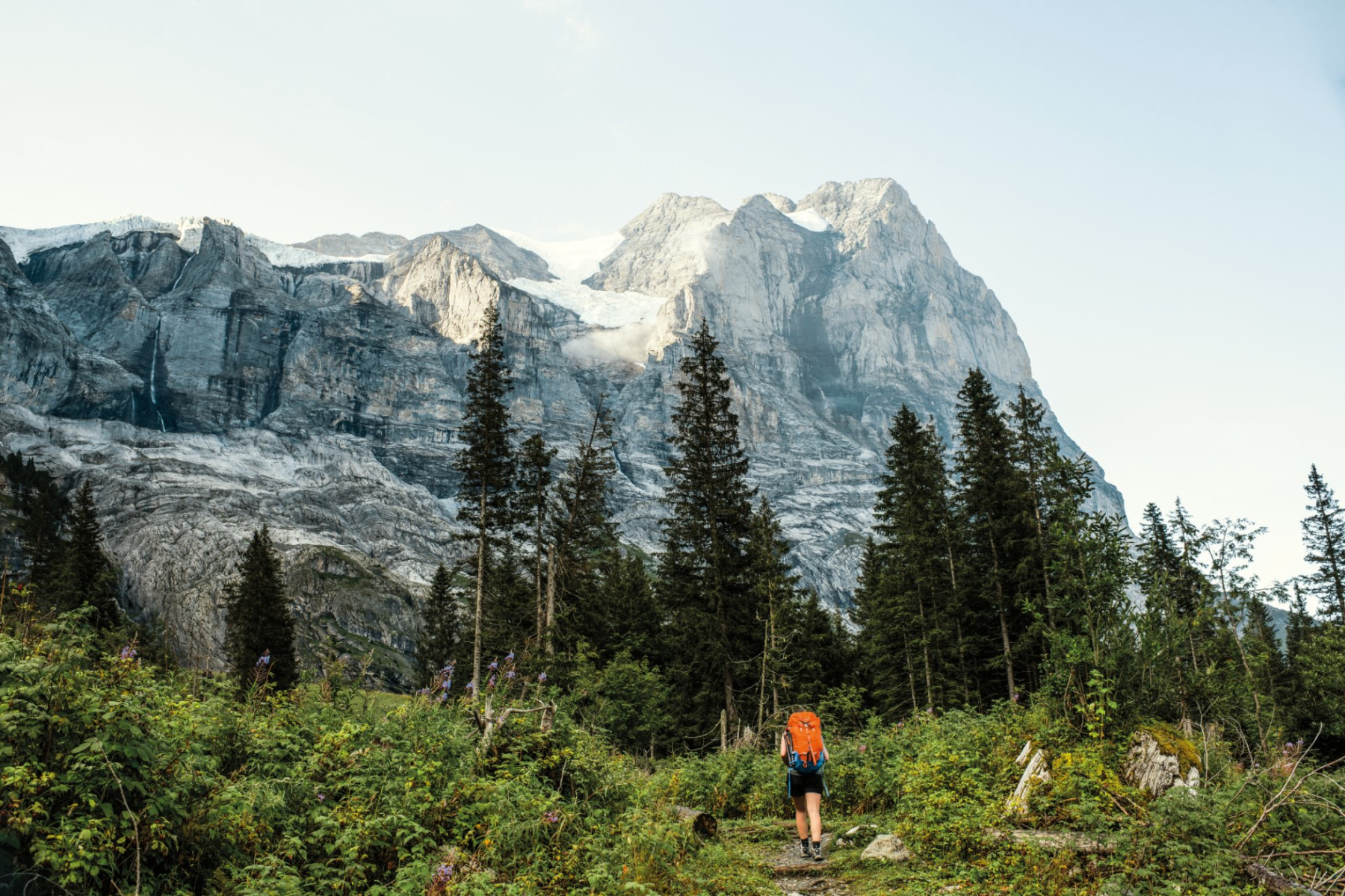 Schwarzwaldalp Wetterhorn