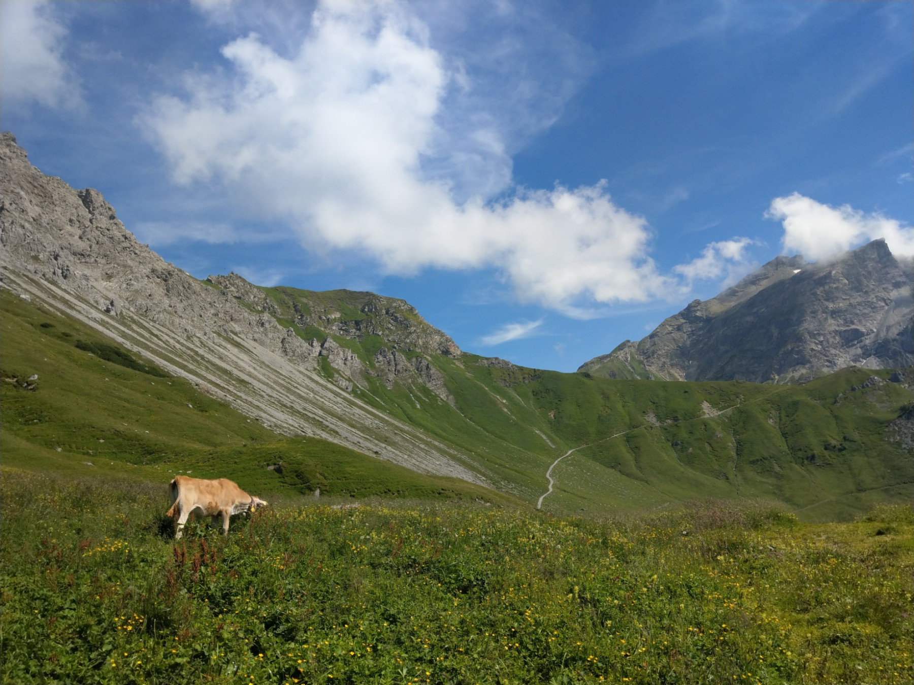 Bergwiesen in Liechtenstein