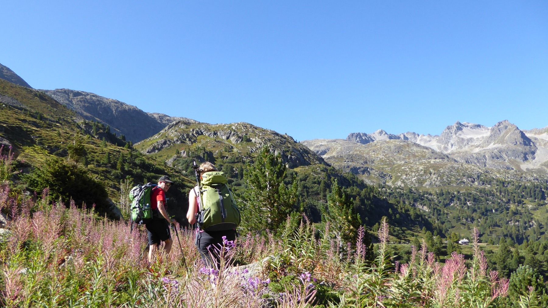 Am Albulapass