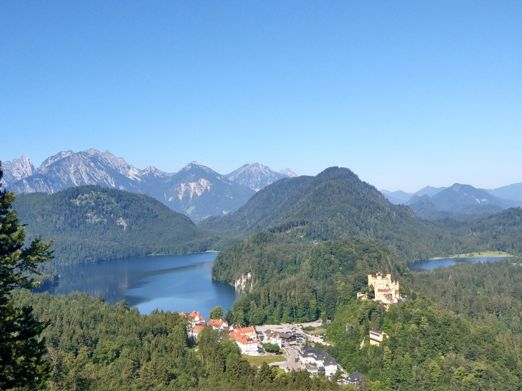 Ausblick auf Hohenschwangau