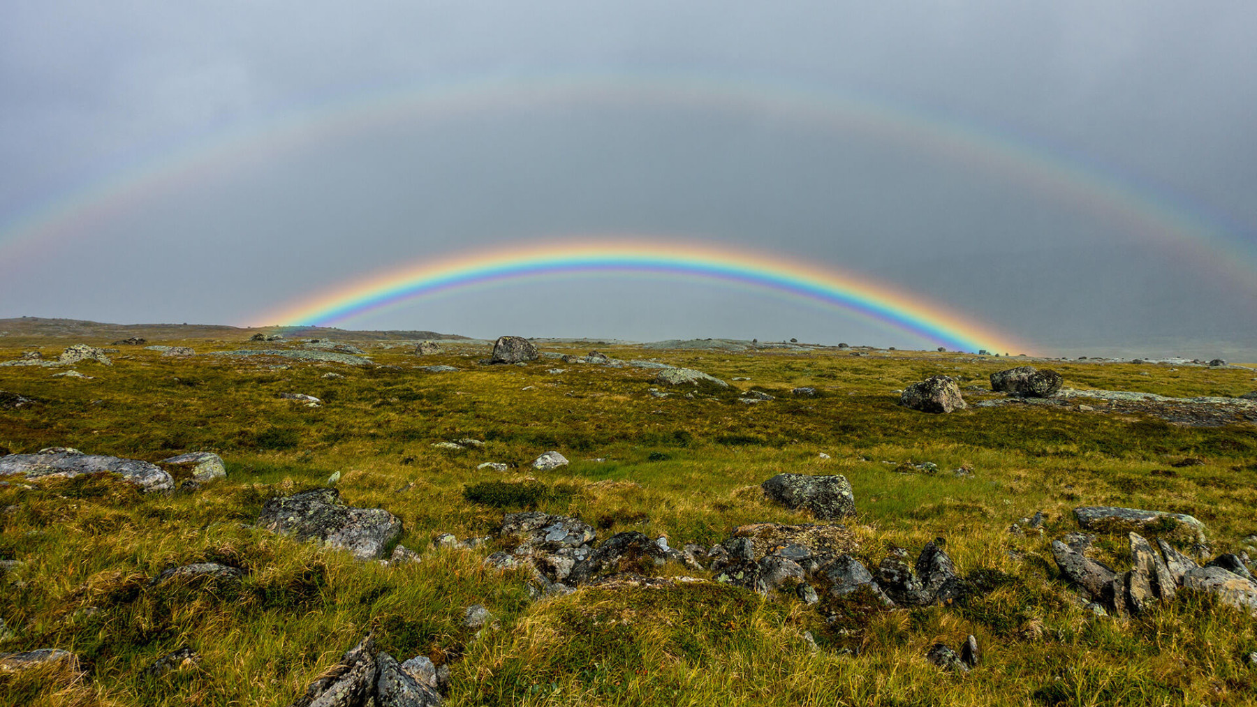 Regenbogen